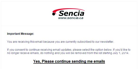 Example Email Opt In